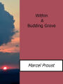 Within A Budding Grove