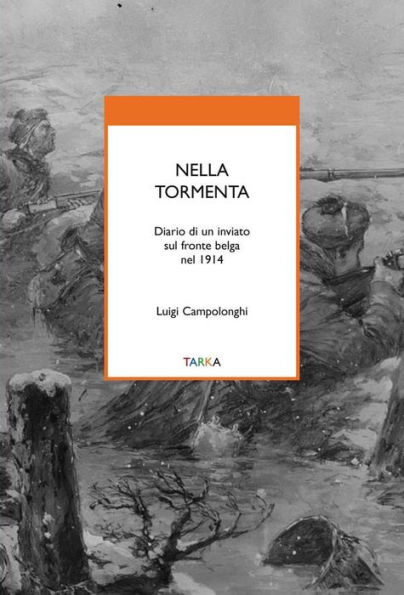 Nella tormenta: Diario di un inviato sul fronte belga nel 1914