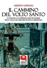 Title: Il cammino del Volto Santo di Lucca: Le strade e gli ospedali per pellegrini nella valle, Author: Amedeo Guidugli