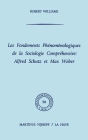 Les fondements phï¿½nomï¿½nologiques de la sociologie comprï¿½hensive: Alfred Schutz et Max Weber / Edition 1