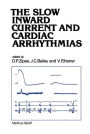 The Slow Inward Current and Cardiac Arrhythmias / Edition 1