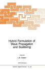 Hybrid Formulation of Wave Propagation and Scattering / Edition 1