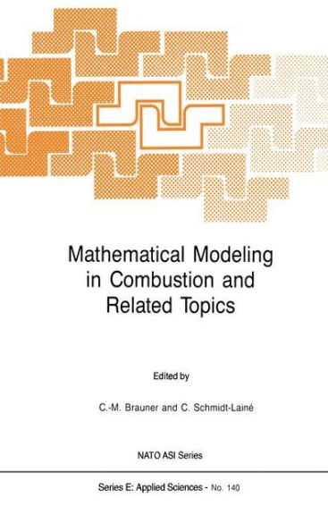 Mathematical Modeling in Combustion and Related Topics / Edition 1