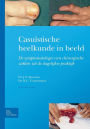 Casuï¿½stische heelkunde in beeld: Symptomatologie van chirurgische ziekten in de dagelijkse praktijk