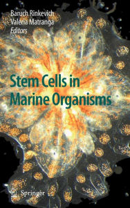 Title: Stem Cells in Marine Organisms / Edition 1, Author: Baruch Rinkevich