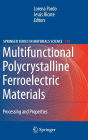 Multifunctional Polycrystalline Ferroelectric Materials: Processing and Properties / Edition 1