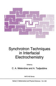 Title: Synchrotron Techniques in Interfacial Electrochemistry / Edition 1, Author: C.A. Melendres