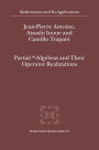 Partial *- Algebras and Their Operator Realizations