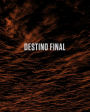 Destino Final: Argentina's death flights during the Dirty War