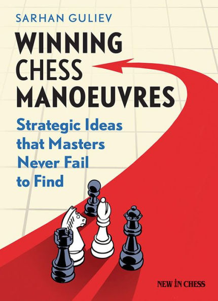 Winning Chess Manoeuvres: Strategic Ideas that Masters Never Fail to Find