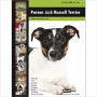 Parson Jack Russell