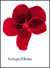 Fortuyn/O'Brien