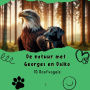 10 Roofvogels.