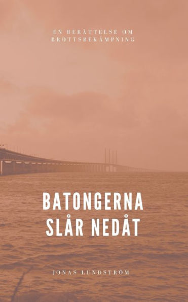 Batongerna slår nedåt: En berättelse om brottsbekämpning