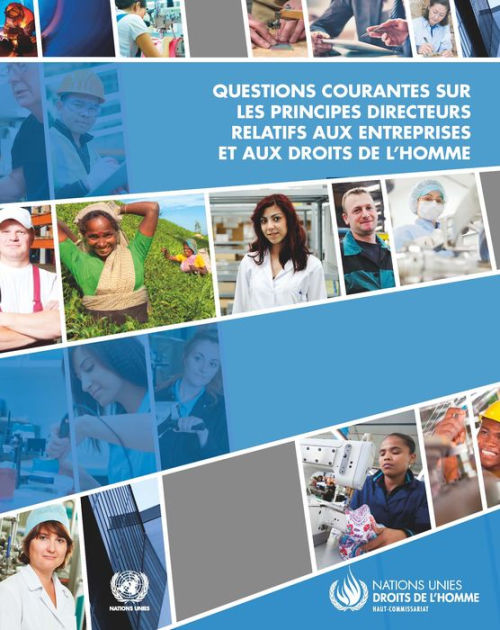 Questions Courantes Sur Les Principes Directeurs Relatifs Aux ...