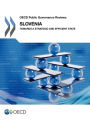 OECD Public Governance Reviews Slovenia: Towards a Strategic and Efficient State