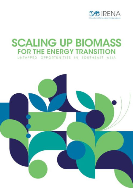 Scaling Up Biomass For The Energy Transition: Untapped Opportunities In ...