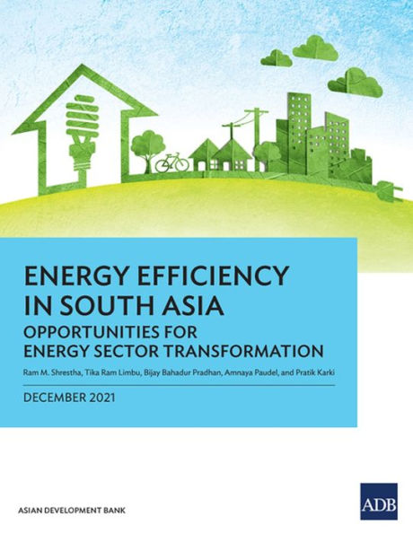 Energy Efficiency in South Asia: Opportunities for Energy Sector Transformation