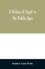 A history of Egypt in the Middle Ages