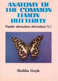 Title: Anatomy of The Common Lemon Butterfly Pupillo Demoleus Demoleus (L), Author: SHOBHAGOYLE
