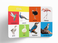 Alternative view 5 of My First 100 Library: Boxset of 5 Early Learning Board Books