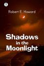 Shadows in The Moonlight