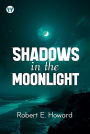 Shadows in The Moonlight