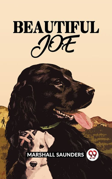 BEAUTIFUL JOE