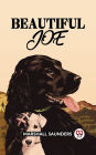 BEAUTIFUL JOE