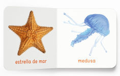 Alternative view 4 of My First Learning Library Box of 20 Board Books - Spanish