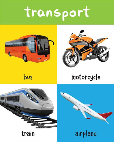 My First 100 Objects Around Us