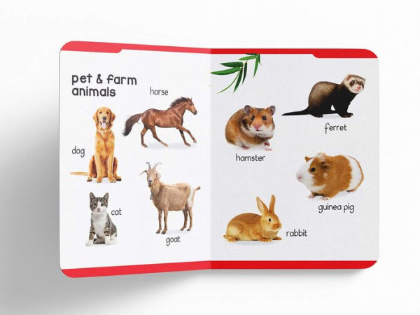 My First Padded Book of Animals: Early Learning Padded Board Books for Children