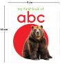 Alternative view 8 of My First Complete Learning Library: Boxset of 20 Board Books Gift Set for Kids (Horizontal Design)