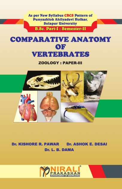 Comparative anatomy essay image