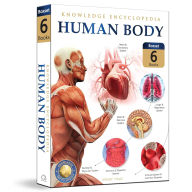 Title: Knowledge Encyclopedia: Human Body, Author: Wonder House Books