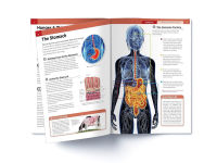 Alternative view 11 of Knowledge Encyclopedia: Human Body