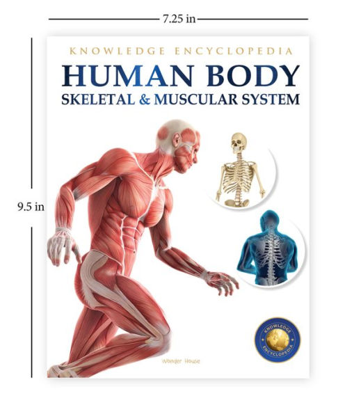 Knowledge Encyclopedia: Human Body