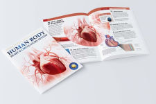 Alternative view 6 of Knowledge Encyclopedia: Human Body