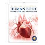 Alternative view 7 of Knowledge Encyclopedia: Human Body