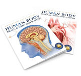 Alternative view 9 of Knowledge Encyclopedia: Human Body