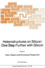 Heterostructures on Silicon: One Step Further with Silicon