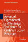 Advanced Experimental and Numerical Techniques for Cavitation Erosion Prediction