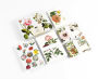 Alternative view 3 of Flowers Correspondence Set