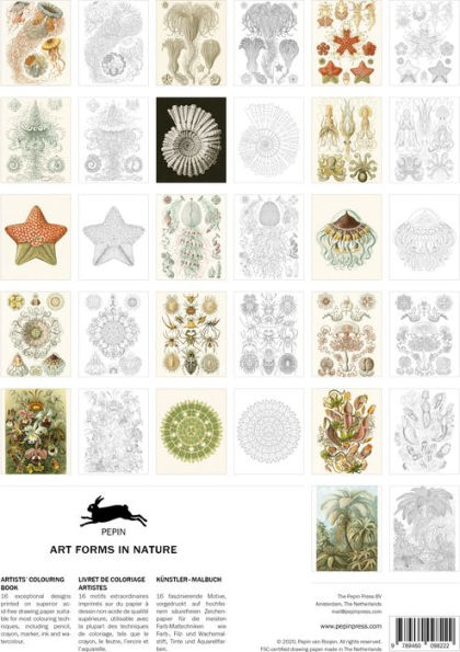 Art Forms in Nature Artists' Colouring Book
