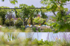 Alternative view 4 of Wild Harmony: Urban Gardens by Bart & Pieter