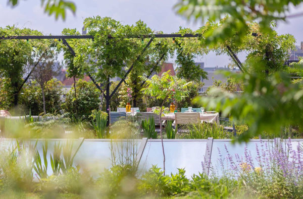 Wild Harmony: Urban Gardens by Bart & Pieter