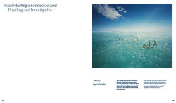 Alternative view 4 of Scarlett Hooft Graafland: Mesmerizing