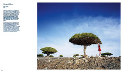 Alternative view 7 of Scarlett Hooft Graafland: Mesmerizing