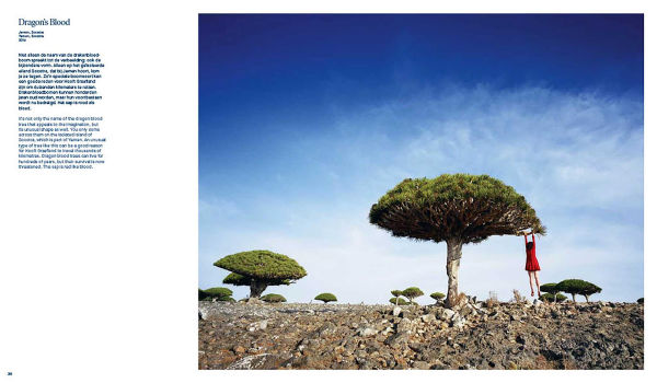 Scarlett Hooft Graafland: Mesmerizing