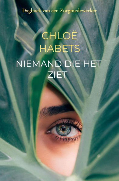 Niemand die het ziet: Dagboek van een Zorgmedewerker